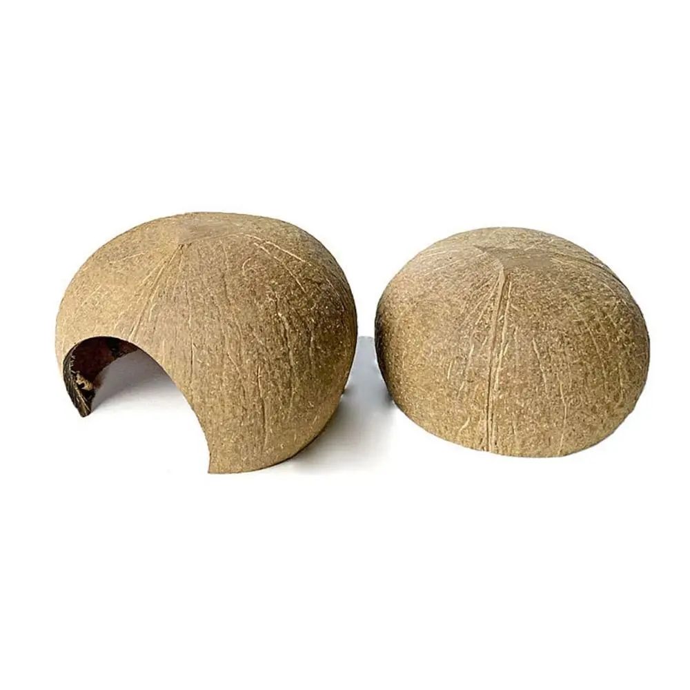 Coconut Hideout